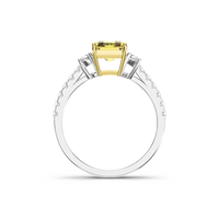 HORN0819 A2 - Product