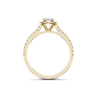HORN0255 - Yellow Gold - Product