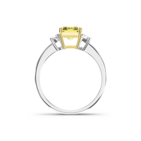 HORN0816 A2 - Product