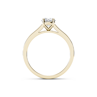 HORN0044 - Yellow Gold - Product