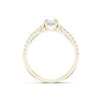 HORN0267 - Yellow Gold - Product