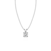 HOPN0036 - White Gold - Product