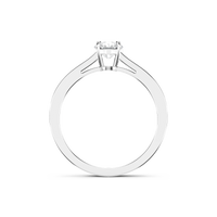 HORN0156 - White Gold - Product