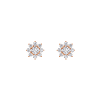 HOER0153 - Rose Gold - Product