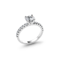 HORN0631 - White Gold - Product