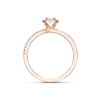 HORN0193 - Rose Gold - Product