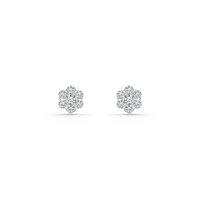 HOER0045 - White Gold - Product