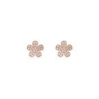 HOER0138 - Rose Gold - Product