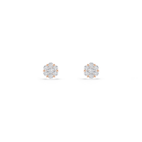 HOER0046 - Rose Gold - Product