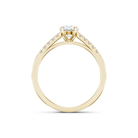 HORN0606 - Yellow Gold - Product