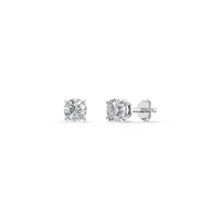 HOER0008 - White Gold - Product