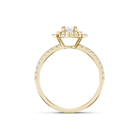 HORN0276 - Yellow Gold - Product
