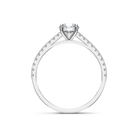 HORN0227 - White Gold - Product