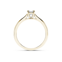 HORN0168 - Yellow Gold - Product