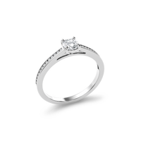 HORN0238 - White Gold - Product