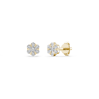 HOER0045 - Yellow Gold - Product