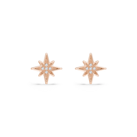 HOER0118 - Rose Gold - Product