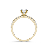 HORN0631 - Yellow Gold - Product
