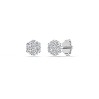 HOER0016 - White Gold - Product
