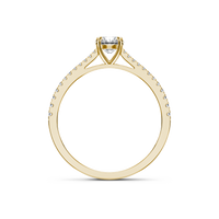HORN0198 - Yellow Gold - Product