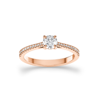 HORN0198 - Rose Gold - Product
