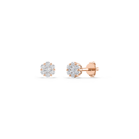 HOER0046 - Rose Gold - Product