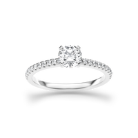 HORN0139 - White Gold - Product
