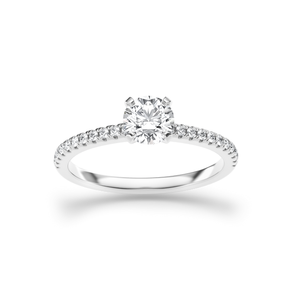 HORN0139 - White Gold - Product