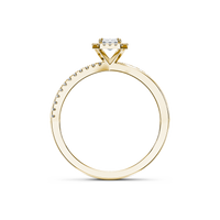 HORN0193 - Yellow Gold - Product