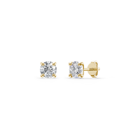 HOER0003 - Yellow Gold - Product