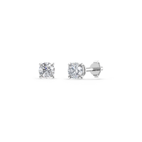 HOER0009 - White Gold - Product