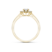 HORN0536 - Yellow Gold - Product