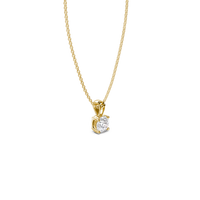 HOPN0026 - Yellow Gold - Product