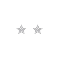 HOER0137 - White Gold - Product