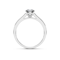 HORN0048 - White Gold - Product