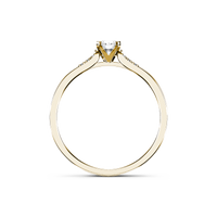 HORN0061 - Yellow Gold - Product