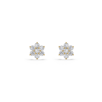 HOER0049 - Yellow Gold - Product