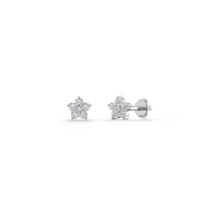 HOER0043 - White Gold - Product