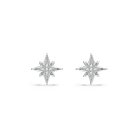 HOER0118 - White Gold - Product