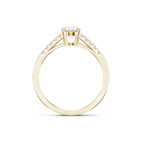 HORN0603 - Yellow Gold - Product