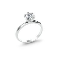 HORN0032 - White Gold - Product