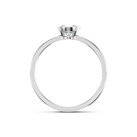 HORN0071 - White Gold - Product