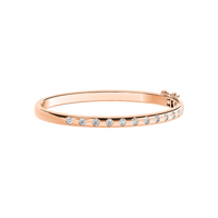 HOBN0060 - Rose Gold - Product