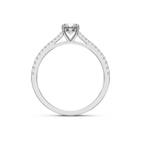 HORN0198 - White Gold - Product