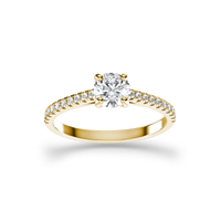 HORN0227 - Yellow Gold - Product