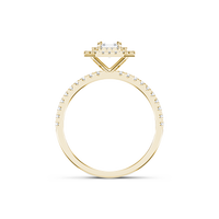 HORN0280 - Yellow Gold - Product