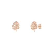 HOER0103 - Rose Gold - Product