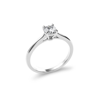 HORN0168 - White Gold - Product