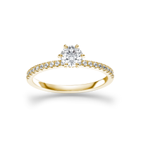 HORN0064 - Yellow Gold - Product