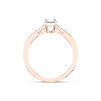 HORN0156 - Rose Gold - Product